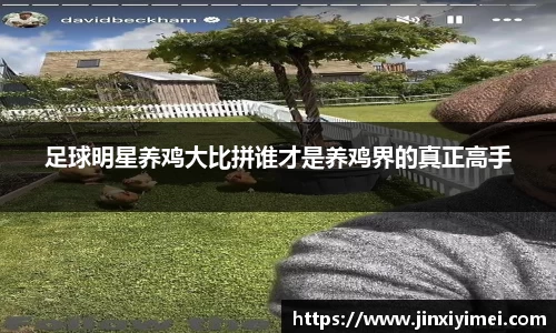足球明星养鸡大比拼谁才是养鸡界的真正高手
